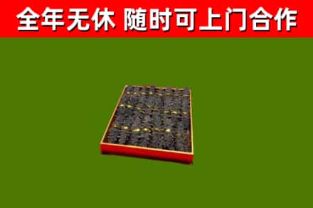 卫滨回收海参